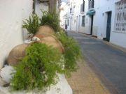 Benalm�dena, M�laga